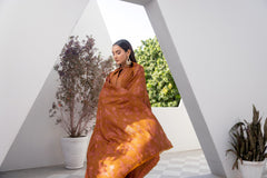 Winter Dhanak 3-Piece Suit with Full Embroidered Shawl – Cinnamon Brown