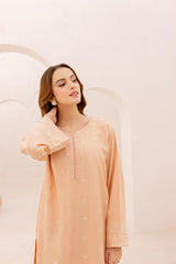 2PC Embroidered Dress - 1077