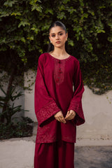 2PC Winter Embroidered Dress-1181