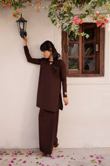 2PC Solid HSK 06 – Dark Brown