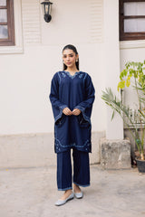 2PC Winter Embroidered Dress-1179