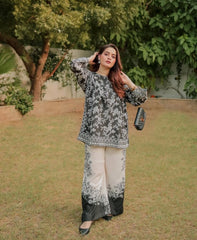 Black Forest Co’ord