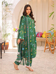 Transient Dream (LD-51)