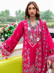 NNF - 02 | Wool Embroidered 3P