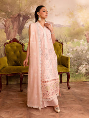Aysel | 3 PC Embroidered Lawn