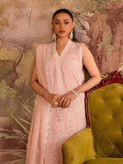 Aysel | 3 PC Embroidered Lawn