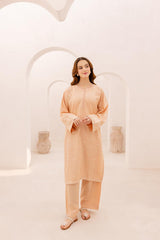 2PC Embroidered Dress - 1077