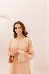 2PC Embroidered Dress - 1077