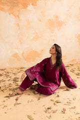 2PC Winter Embroidered Dress - 1085