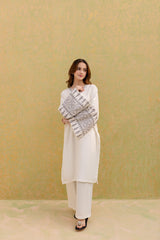 2PC Embroidered Dress-1067