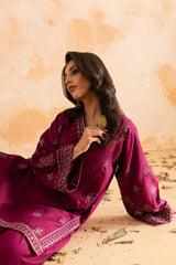 2PC Winter Embroidered Dress - 1085