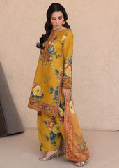 Khaddar 206