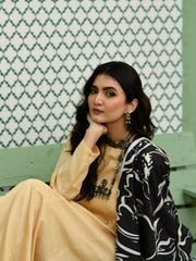 Nyra 2 Piece Skin - Kalidaar Shirt Trouser