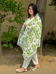 Sitara Pakistan stole
