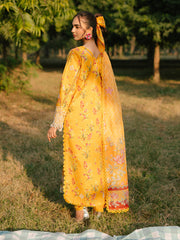 Ivory-01 - Embroidered Lawn 3P