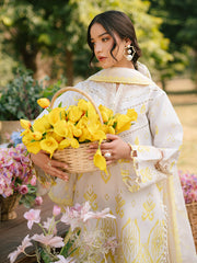 Ivory-03 - Embroidered Lawn 3P