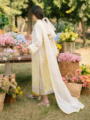 Ivory-03 - Embroidered Lawn 3P
