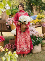 Ivory-04 - Embroidered Lawn 3P