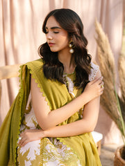 Ivory-12 - Embroidered Lawn 3P