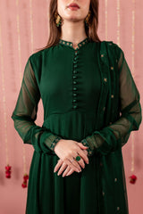 Embroidered Chiffon Dress - BG01