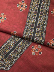 BS 14 - Bin Saeed Unstitched 3 Piece Lawn