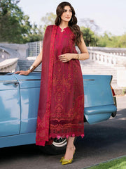 211 - B - Embroidered Lawn 3P