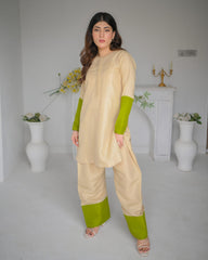 Pastel Two Piece Dress