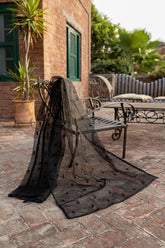 Organza embroidered Dupata