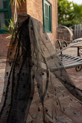 Organza embroidered Dupata