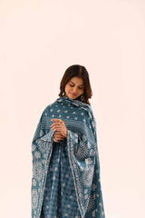 420189 - Nishat Printed Lawn 3P