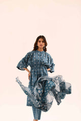 420189 - Nishat Printed Lawn 3P