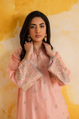 2PC LUXURY EMBROIDERED DRESS - 1109