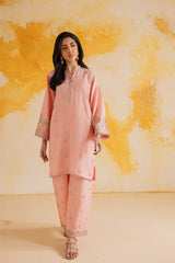 2PC LUXURY EMBROIDERED DRESS - 1109