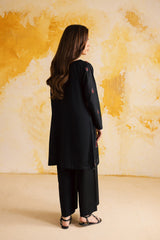 2PC LUXURY EMBROIDERED DRESS - 1104