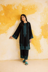 2PC LUXURY EMBROIDERED DRESS - 1102
