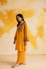 2PC LUXURY EMBROIDERED DRESS - 1117
