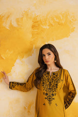 2PC LUXURY EMBROIDERED DRESS - 1116