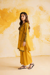 2PC LUXURY EMBROIDERED DRESS - 1116