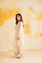 2PC LUXURY EMBROIDERED DRESS - 1119