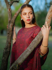 SIZZLE DHAKA (pre order only)