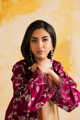 2PC LUXURY EMBROIDERED DRESS - 1112