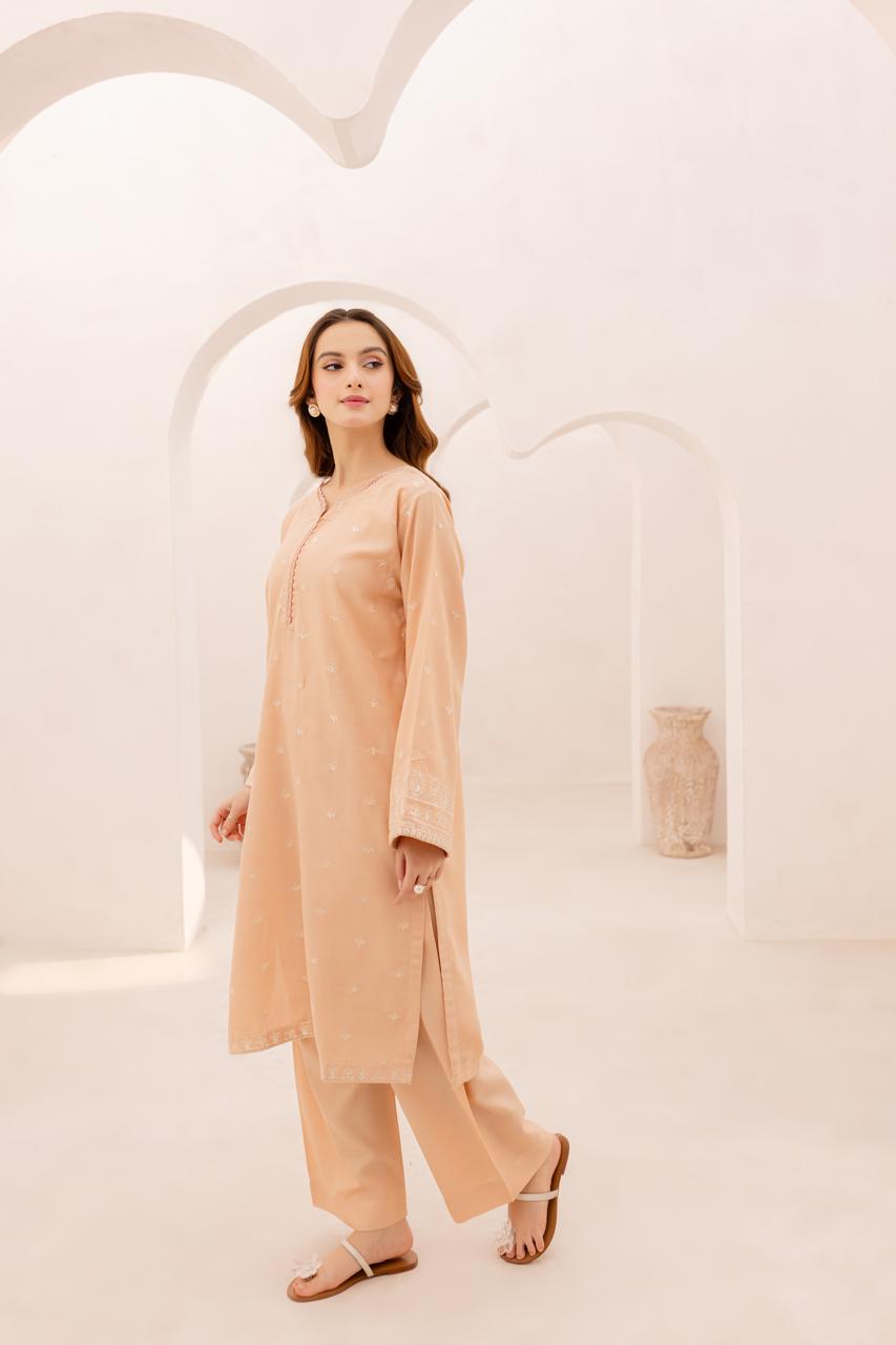 2PC Embroidered Dress - 1077