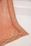 Amber - Shirt & Dupatta