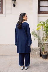 2PC Winter Embroidered Dress-1179