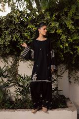 2PC Winter Embroidered Dress-1176
