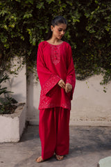 2PC Winter Embroidered Dress-1180