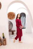 Winters 2PC Embroidered Dress-1044