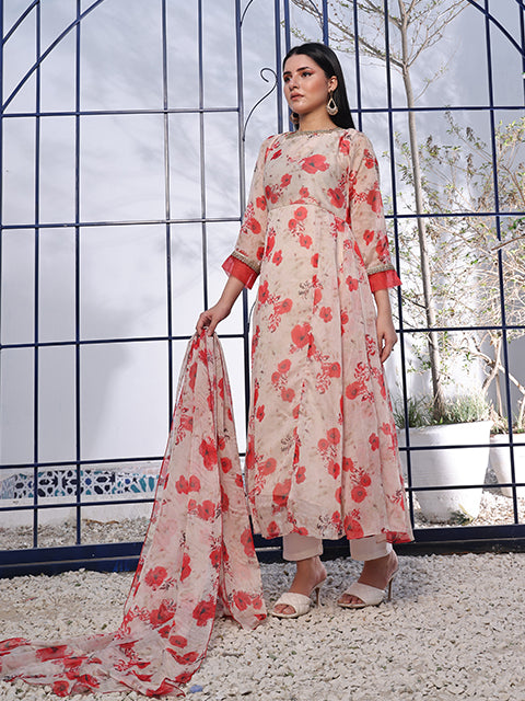 Ruby red amaryllis (FRT-70)