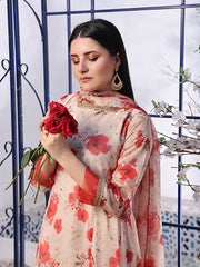 Ruby red amaryllis (FRT-70)