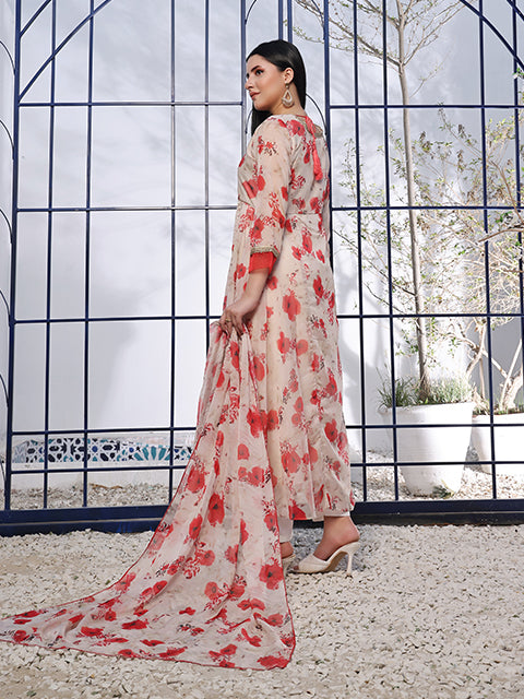 Ruby red amaryllis (FRT-70)